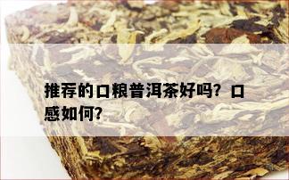 推荐的口粮普洱茶好吗？口感如何？