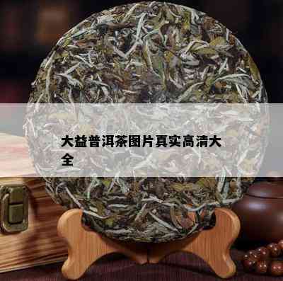 大益普洱茶图片真实高清大全