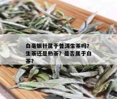 白毫银针属于普洱生茶吗？生茶还是熟茶？是否属于白茶？