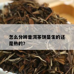 怎么分辨普洱茶饼是生的还是熟的？