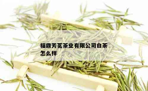 福鼎芳茗茶业有限公司白茶怎么样