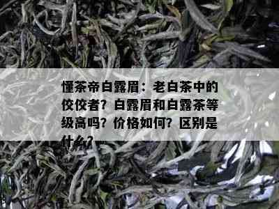 懂茶帝白露眉：老白茶中的佼佼者？白露眉和白露茶等级高吗？价格如何？区别是什么？