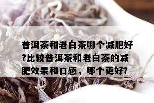 普洱茶和老白茶哪个减肥好?比较普洱茶和老白茶的减肥效果和口感，哪个更好？