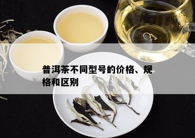 普洱茶不同型号的价格、规格和区别