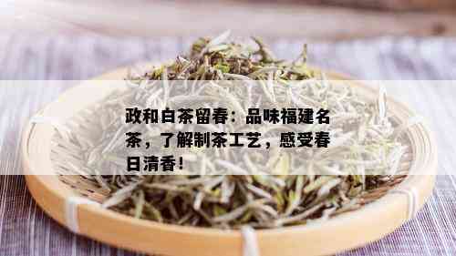 政和白茶留春：品味福建名茶，了解制茶工艺，感受春日清香！