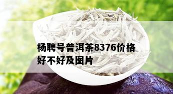 杨聘号普洱茶8376价格好不好及图片