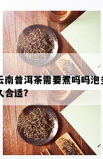 云南普洱茶需要煮吗吗泡多久合适？