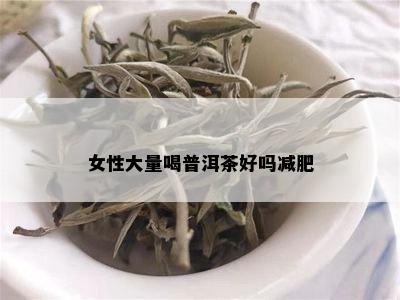 女性大量喝普洱茶好吗减肥