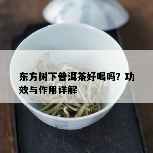 东方树下普洱茶好喝吗？功效与作用详解