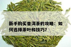 新手购买普洱茶的攻略：如何选择茶叶和技巧？