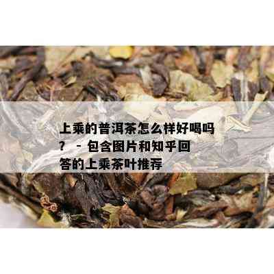 上乘的普洱茶怎么样好喝吗？ - 包含图片和知乎回答的上乘茶叶推荐