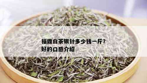 福鼎白茶银针多少钱一斤？好的口感介绍