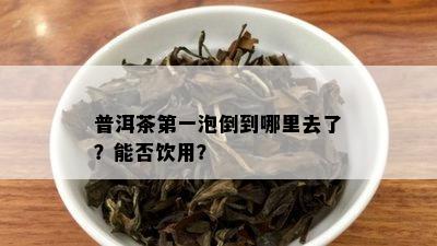 普洱茶之一泡倒到哪里去了？能否饮用？