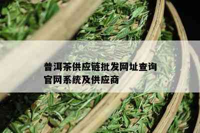 普洱茶供应链批发网址查询官网系统及供应商