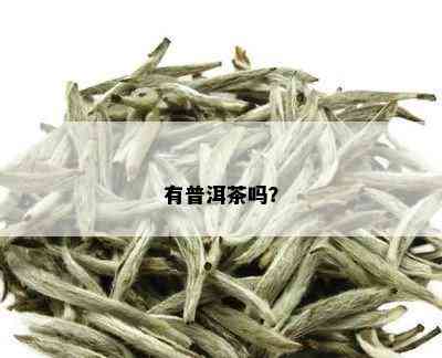 有普洱茶吗？