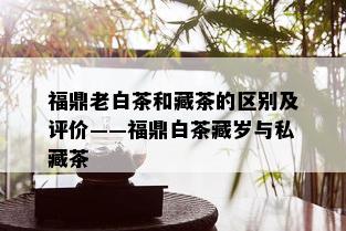 福鼎老白茶和藏茶的区别及评价——福鼎白茶藏岁与私藏茶