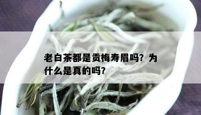 老白茶都是贡梅寿眉吗？为什么是真的吗？