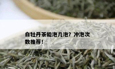 白牡丹茶能泡几泡？冲泡次数推荐！