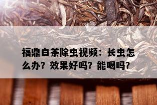 福鼎白茶除虫视频：长虫怎么办？效果好吗？能喝吗？