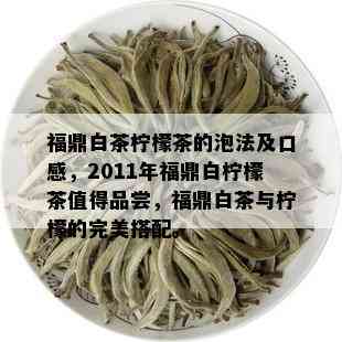 福鼎白茶柠檬茶的泡法及口感，2011年福鼎白柠檬茶值得品尝，福鼎白茶与柠檬的完美搭配。