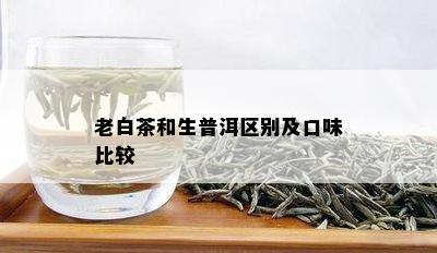 老白茶和生普洱区别及口味比较