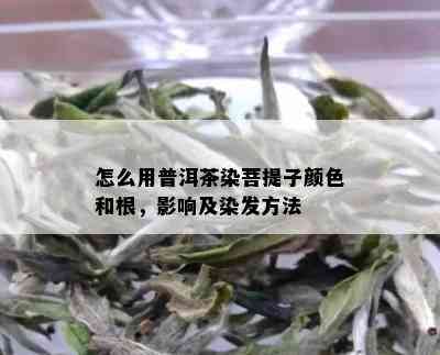 怎么用普洱茶染菩提子颜色和根，影响及染发方法