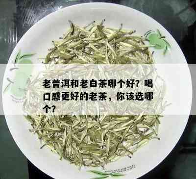 老普洱和老白茶哪个好？喝口感更好的老茶，你该选哪个？