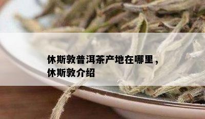 休斯敦普洱茶产地在哪里，休斯敦介绍