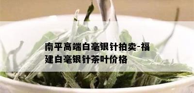 南平高端白毫银针拍卖-福建白毫银针茶叶价格