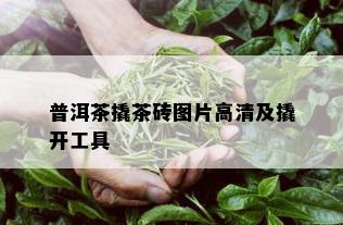 普洱茶撬茶砖图片高清及撬开工具