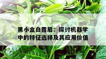 黑小盒白露眉：探讨机器学中的特征选择及其应用价值