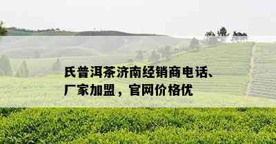 氏普洱茶济南经销商电话、厂家加盟，官网价格优