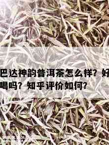 巴达神韵普洱茶怎么样？好喝吗？知乎评价如何？