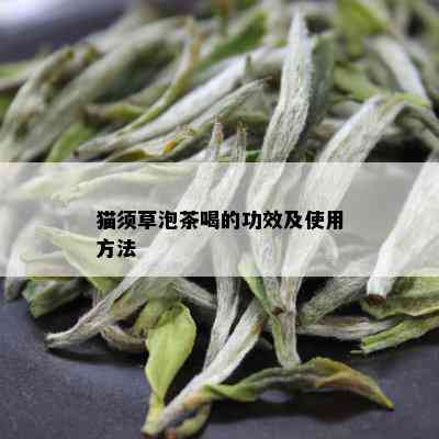 猫须草泡茶喝的功效及使用方法