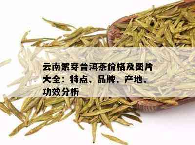 云南紫芽普洱茶价格及图片大全：特点、品牌、产地、功效分析