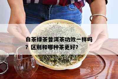 白茶绿茶普洱茶功效一样吗？区别和哪种茶更好？