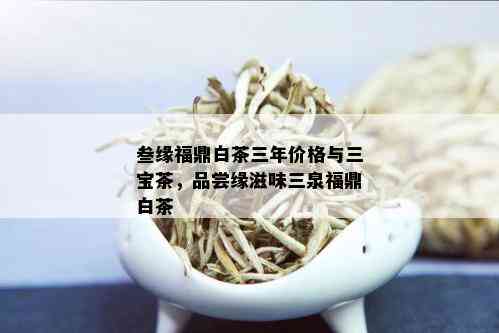 叁缘福鼎白茶三年价格与三宝茶，品尝缘滋味三泉福鼎白茶