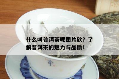 什么叫普洱茶呢图片欣？了解普洱茶的魅力与品质！