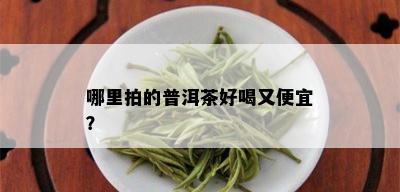 哪里拍的普洱茶好喝又便宜？