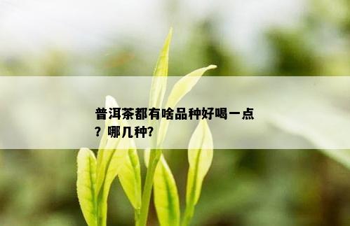 普洱茶都有啥品种好喝一点？哪几种？