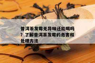 普洱茶发霉无异味还能喝吗？了解普洱茶发霉的危害和处理方法