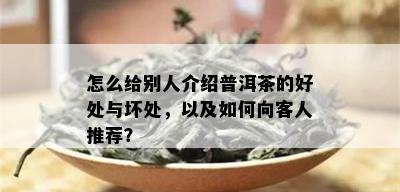 怎么给别人介绍普洱茶的好处与坏处，以及如何向客人推荐？