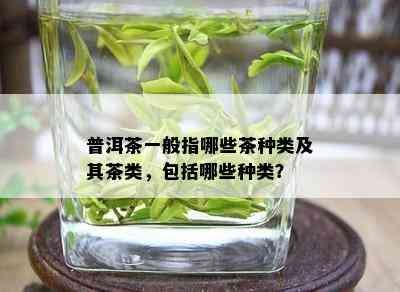 普洱茶一般指哪些茶种类及其茶类，包括哪些种类？