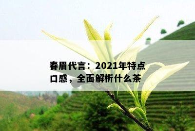 春眉代言：2021年特点口感，全面解析什么茶