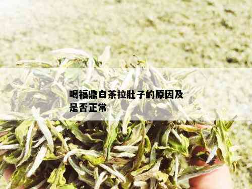 喝福鼎白茶拉肚子的原因及是否正常