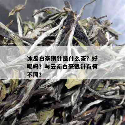 冰岛白毫银针是什么茶？好喝吗？与云南白毫银针有何不同？