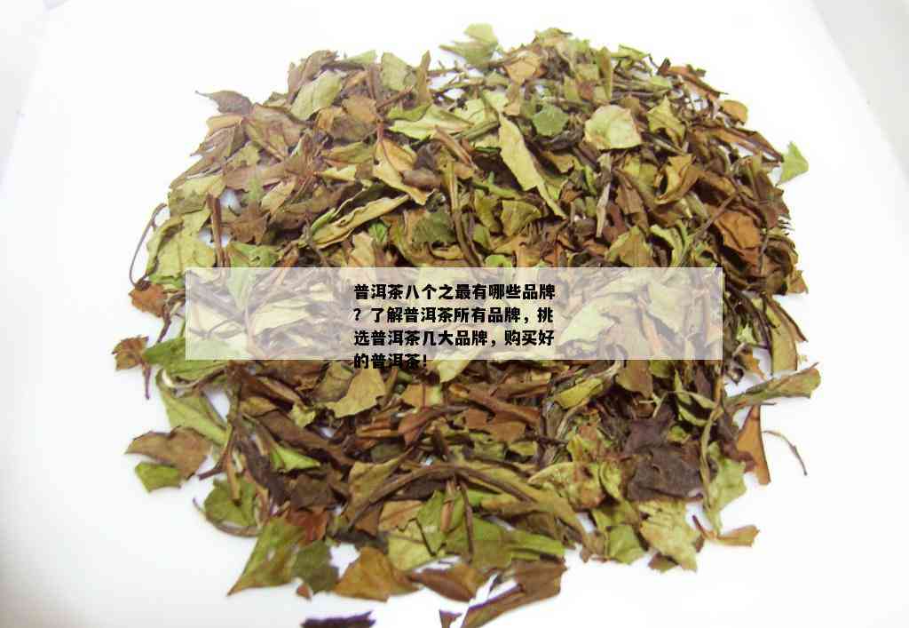 普洱茶八个之最有哪些品牌？了解普洱茶所有品牌，挑选普洱茶几大品牌，购买好的普洱茶！