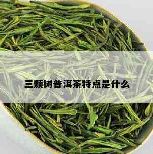 三颗树普洱茶特点是什么