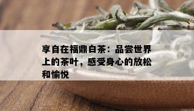 享自在福鼎白茶：品尝世界上的茶叶，感受身心的放松和愉悦