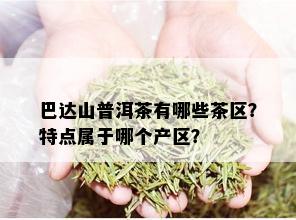 巴达山普洱茶有哪些茶区？特点属于哪个产区？